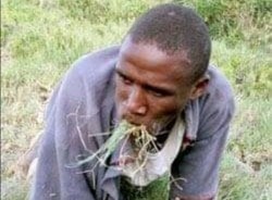 Two Men Spotted Eating Grass After Stealing A Laptop.