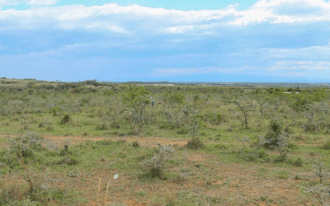 EXPOSED! How Kenyans get conned into buying cheap ‘wilderness’ plots