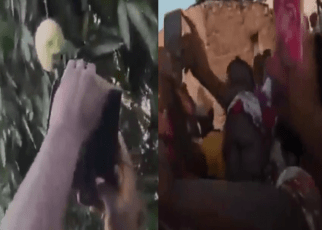 DRAMA in Kitui,Mango with a human face spotted – (VIDEO) Ogopa Wakanesa.
