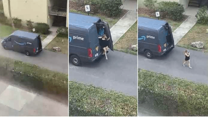 Amazon Staff Caught chewing lady Inside Delivery Van (Video)