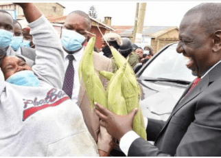 Ruto Shortchanged Me - Viral Woman Who Sold Roasted Maize to DP