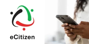 Treasury Moves to Replace eCitizen Convenience Fee With New Access Charge
