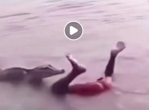 Panic as Pastor Who Prophesied World Will End on 27th December Reportedly Swallowed by Crocodile While Swimming (VIDEO)